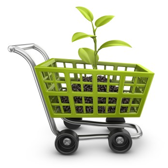 Sustainable Purchasing