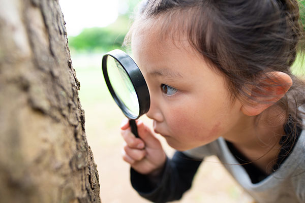 child looking at tree with magnifying glass